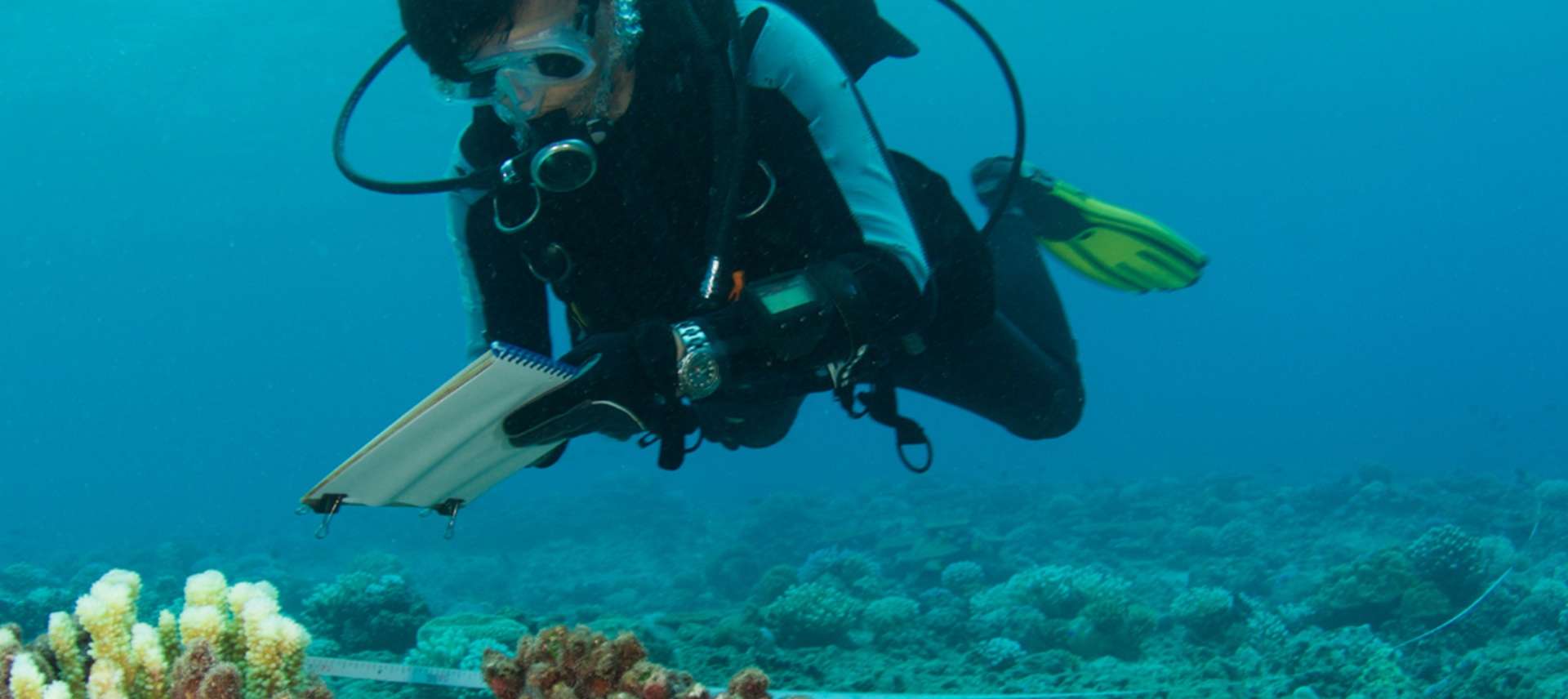 web_2020_Marine Biology.jpg